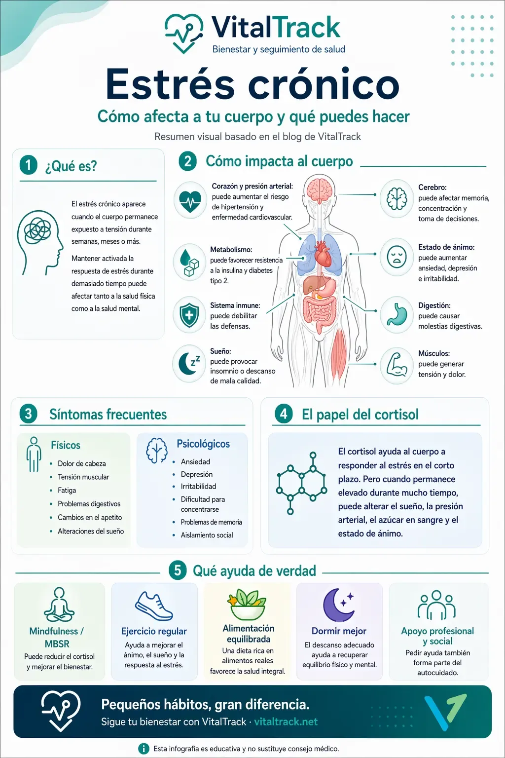Infografía sobre cómo afecta el estrés crónico al cuerpo
